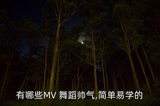 有哪些MV 舞蹈帅气,简单易学的