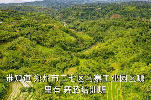 郑州成年舞蹈班,报个成年舞蹈班多少钱