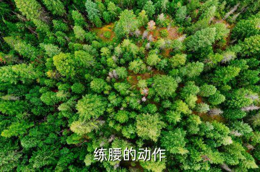 练腰的动作