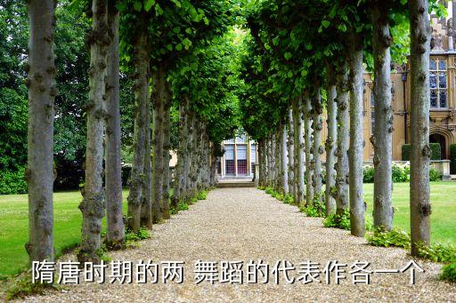孝和中国舞蹈,中国舞蹈