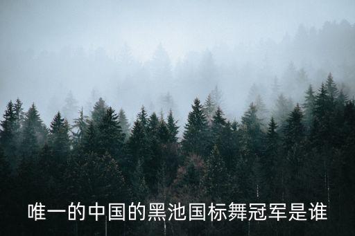 唯一的中国的黑池国标舞冠军是谁