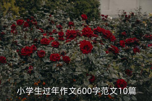  小学生过年作文600字范文10篇