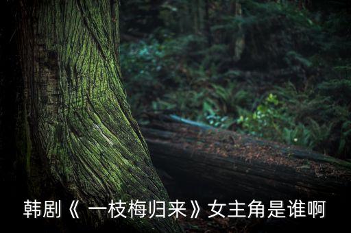 韩剧《 一枝梅归来》女主角是谁啊