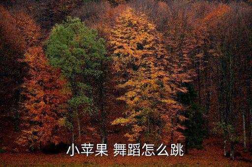 王广成的舞蹈大全