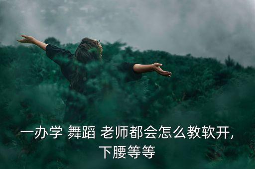 一办学 舞蹈 老师都会怎么教软开,下腰等等