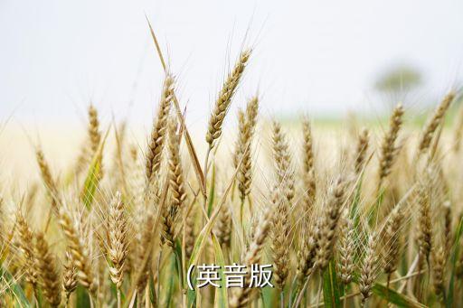 (英音版