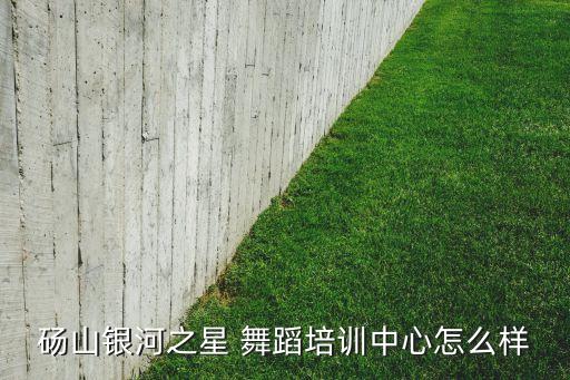 砀山银河之星 舞蹈培训中心怎么样