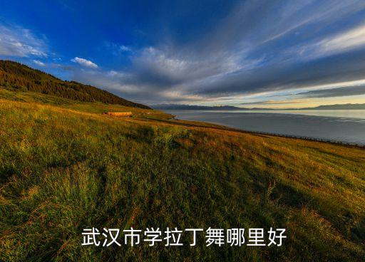  武汉市学拉丁舞哪里好