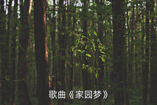 歌曲《家园梦》