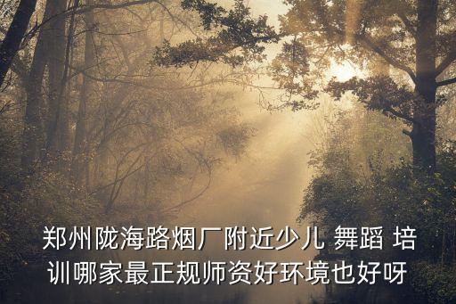  郑州陇海路烟厂附近少儿 舞蹈 培训哪家最正规师资好环境也好呀