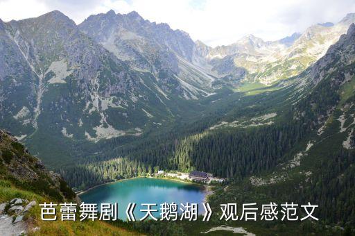 看俄罗斯芭蕾舞蹈,俄罗斯芭蕾舞蹈的崛起对中国的启示