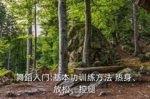  舞蹈入门:基本功训练方法 热身、放松、控腿