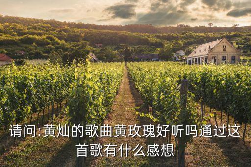 黄梅瑰舞蹈完整版,黄梅悠悠舞蹈完整版视频