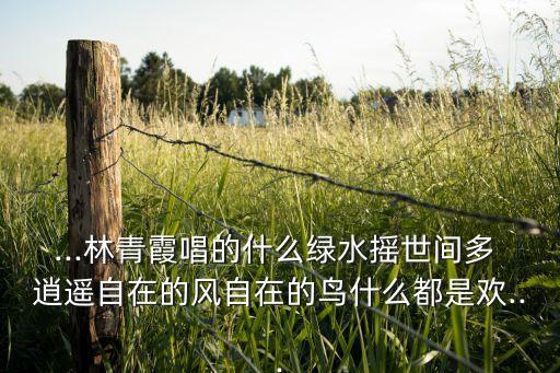 ...林青霞唱的什么绿水摇世间多 逍遥自在的风自在的鸟什么都是欢...