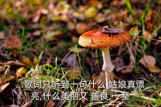 男子神韵舞蹈队善良姑娘