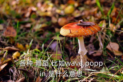 各种 舞蹈,比如wave,poppin,是什么意思