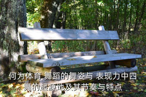什么是舞蹈的表现力,舞蹈表现力包括哪些方面
