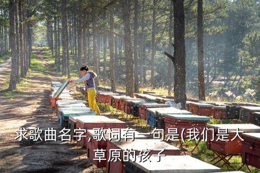 求歌曲名字,歌词有一句是(我们是大草原的孩子