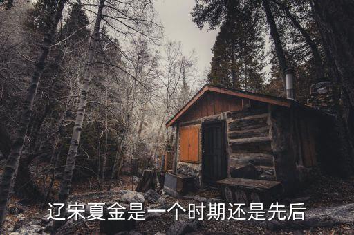 宋辽金西夏舞蹈史
