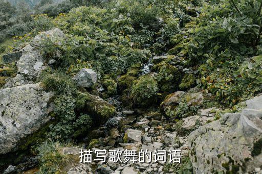 描写歌舞的词语