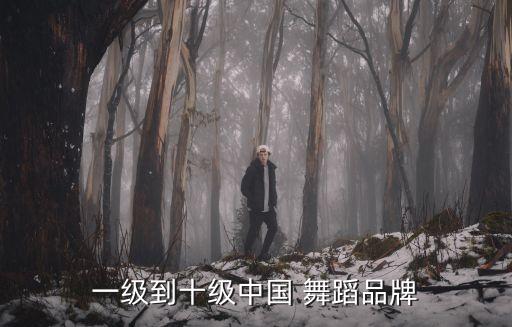一级到十级中国 舞蹈品牌