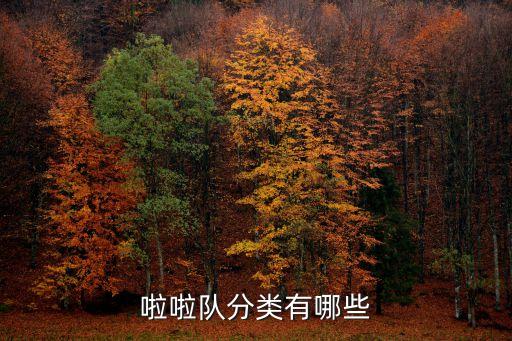 拉拉队简单舞蹈,儿童拉拉队舞蹈简单又好看