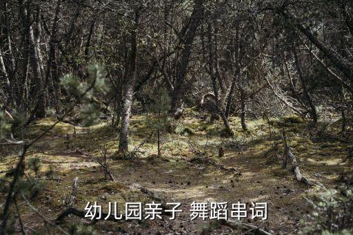 幼儿园亲子 舞蹈串词