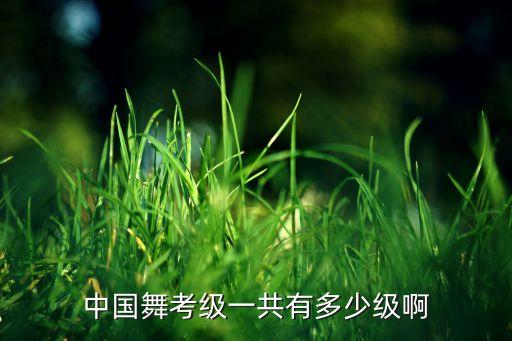 中国舞考级一共有多少级啊