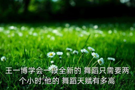 舞蹈只