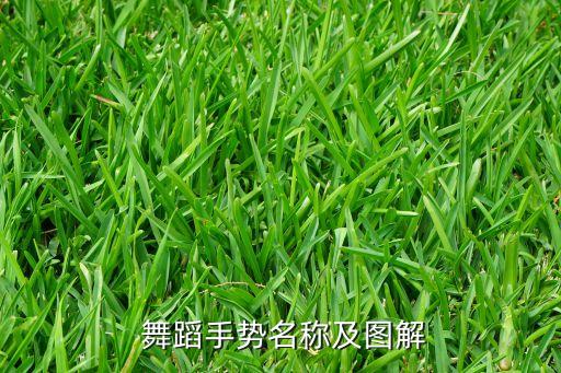  舞蹈手势名称及图解