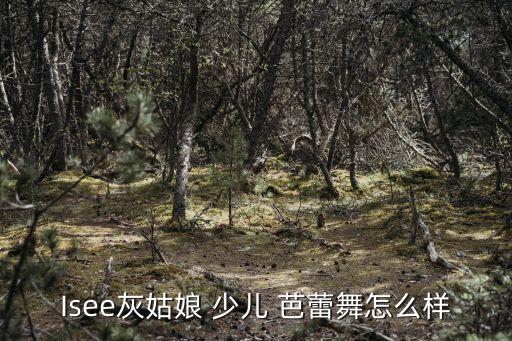 Isee灰姑娘 少儿 芭蕾舞怎么样