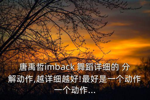 唐禹哲imback 舞蹈详细的 分解动作,越详细越好!最好是一个动作一个动作...