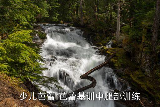 舞蹈怎样把腿抬起来,怎样拍舞蹈视频显腿长