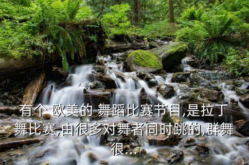 有个 欧美的 舞蹈比赛节目,是拉丁舞比赛,由很多对舞者同时跳的,群舞很...