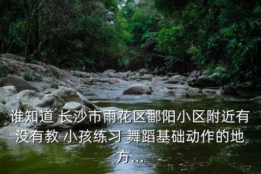 谁知道 长沙市雨花区鄱阳小区附近有没有教 小孩练习 舞蹈基础动作的地方...