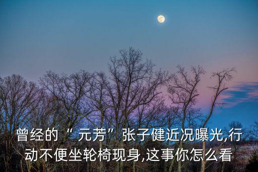 曾经的“ 元芳”张子健近况曝光,行动不便坐轮椅现身,这事你怎么看