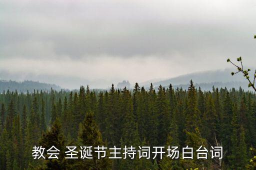 教会 圣诞节主持词开场白台词