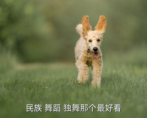 民族 舞蹈 独舞那个最好看