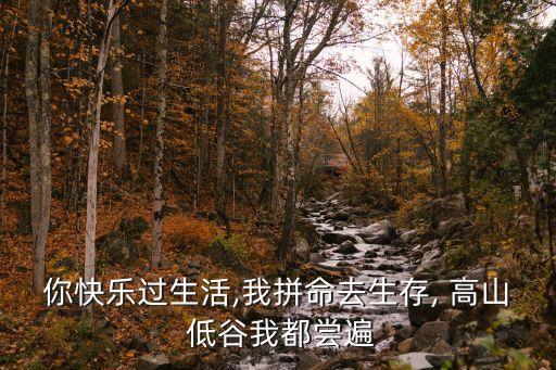你快乐过生活,我拼命去生存, 高山 低谷我都尝遍