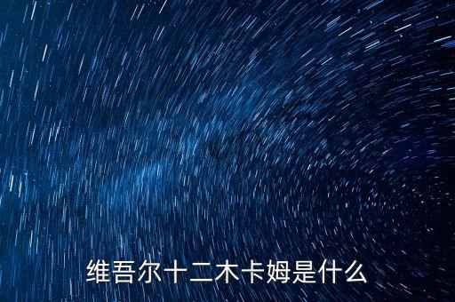 维吾尔十二木卡姆是什么
