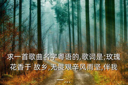 《念故乡》舞蹈,德沃夏克《念故乡》简介