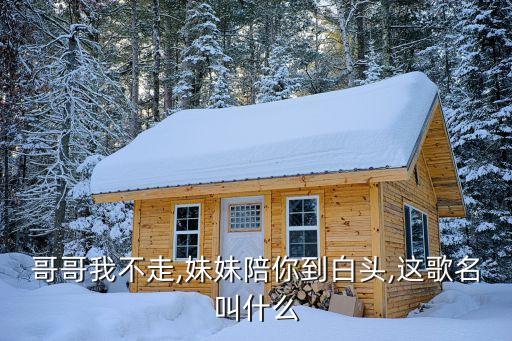 哥哥我不走,妹妹陪你到白头,这歌名叫什么