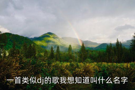 一首类似dj的歌我想知道叫什么名字