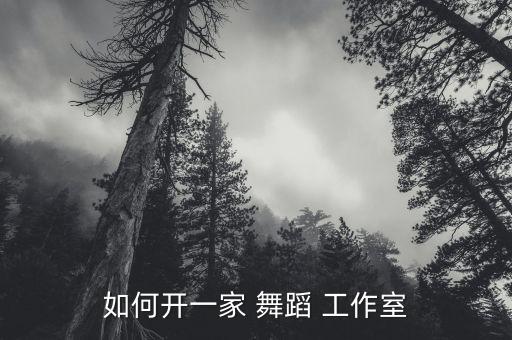 如何开一家 舞蹈 工作室