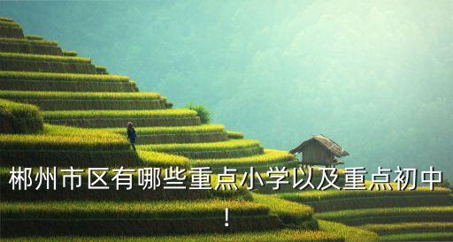 郴州市区有哪些重点小学以及重点初中!
