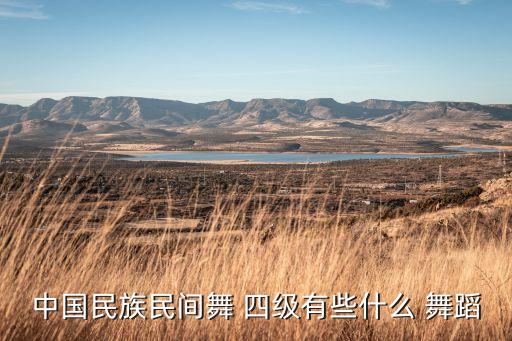 中国民族民间舞 四级有些什么 舞蹈