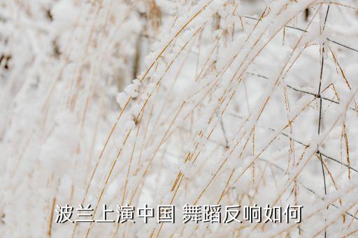 波兰上演中国 舞蹈反响如何