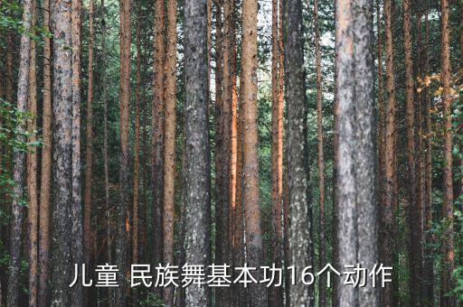 儿童 民族舞基本功16个动作