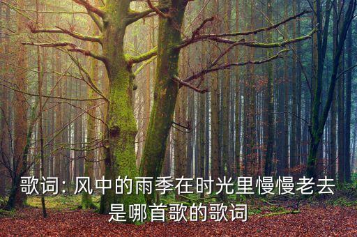 歌词: 风中的雨季在时光里慢慢老去是哪首歌的歌词