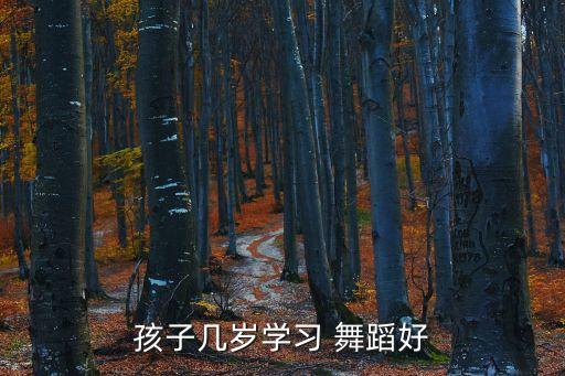 孩子几岁学习 舞蹈好